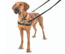 Halti Front Control Dog Harness