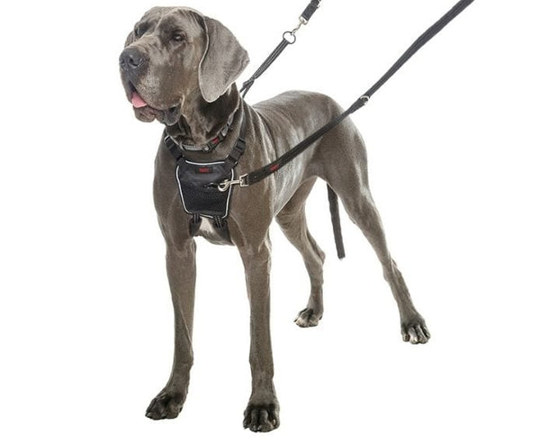 pull pet