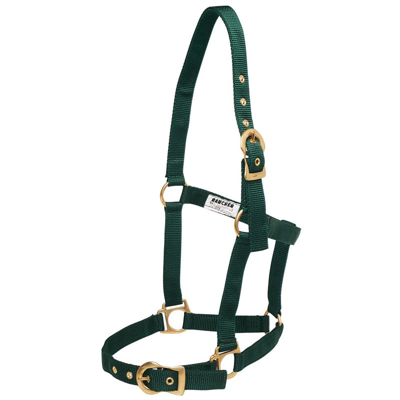 Rancher Horse Halter with Brass Buckles