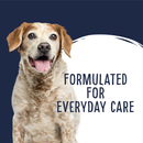 Love'em Joint Care Beef Liver Cookie Dog Treats 250g