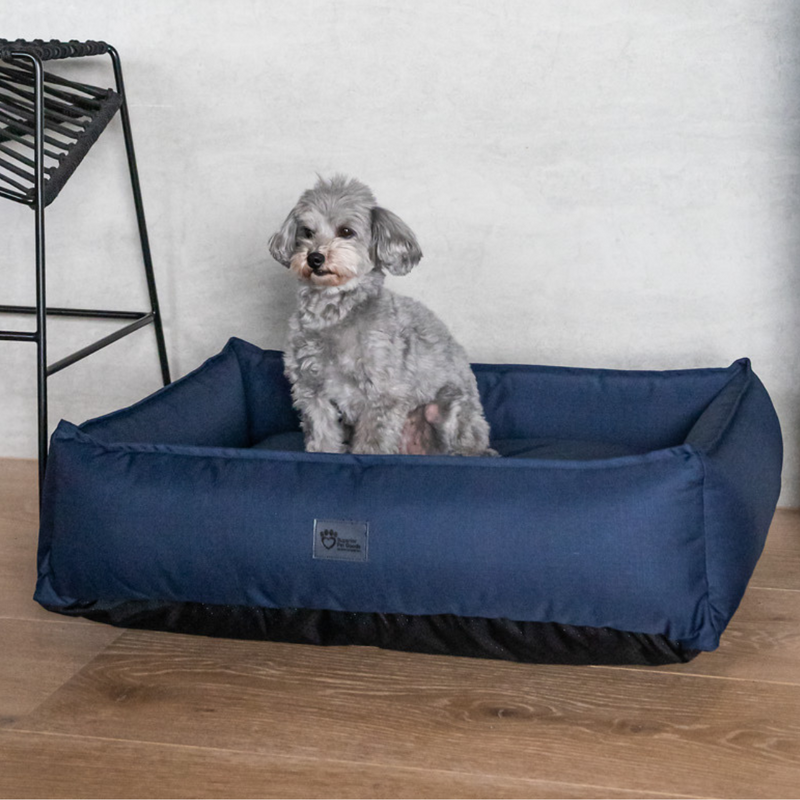 Superior Ortho Lounger Ripstop Bondi Blue Dog Bed