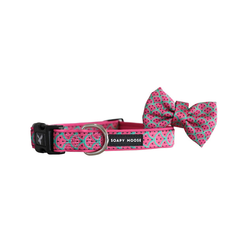 Soapy Moose Watermelon Dog Collar and Bow Tie