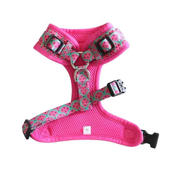 Soapy Moose Watermelon Adjustable Dog Harness