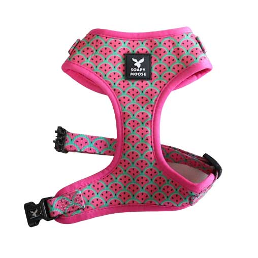Soapy Moose Watermelon Adjustable Dog Harness