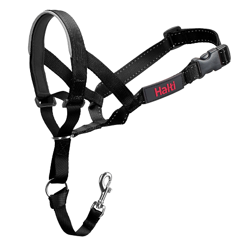 Halti Dog Headcollar Black