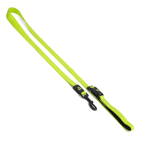 Bainbridge Nylon Dog Lead Green