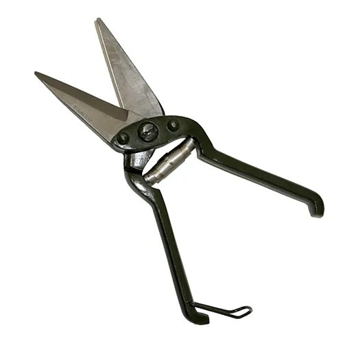 Bainbridge Standard Shears