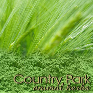 Country Park Barley Grass Leaf Powder - Raymonds Warehouse