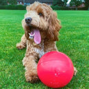 COA Boomer Ball Dog Toy