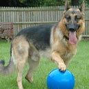 COA Boomer Ball Dog Toy