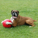 COA Boomer Ball Dog Toy