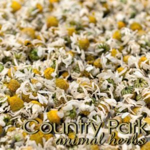 Country Park Chamomile Flowers - Raymonds Warehouse