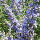 Country Park Chastetree Berry Whole - Raymonds Warehouse