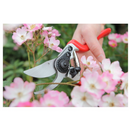 Darlac Expert Bypass Pruners
