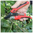 Darlac Compound Action Bypass Pruner