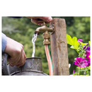 Darlac Take Anywhere Tap