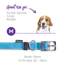 Kazoo Classic Buckle Dog Collar Aqua