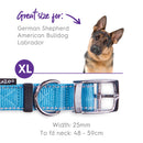Kazoo Classic Buckle Dog Collar Aqua