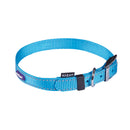 Kazoo Classic Buckle Dog Collar Aqua