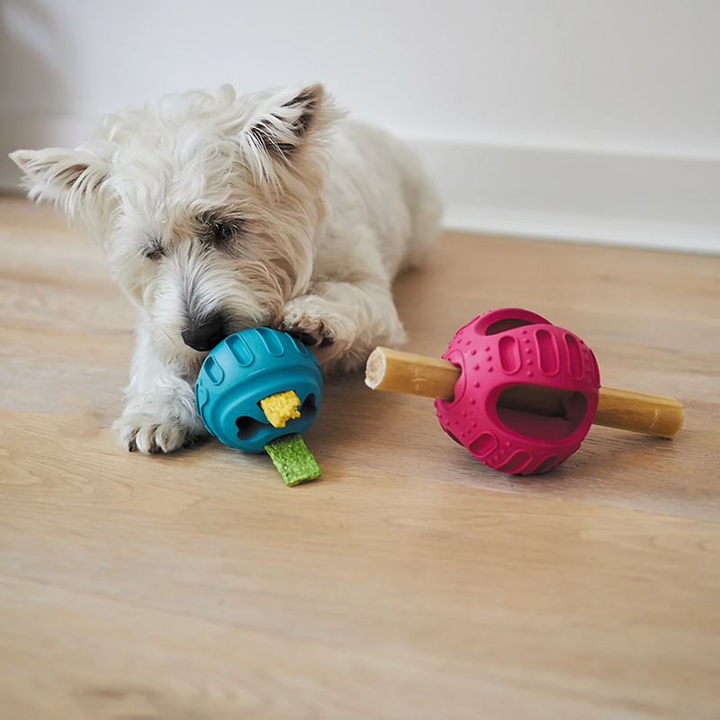 Kazoo Chew & Treat Enrichment Ball Dog Toy