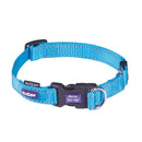 Kazoo Classic Easy-clip Dog Collar Aqua