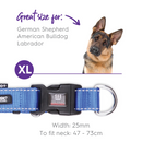 Kazoo Classic Easy-clip Dog Collar Blue