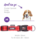 Kazoo Classic Easy-clip Dog Collar Red