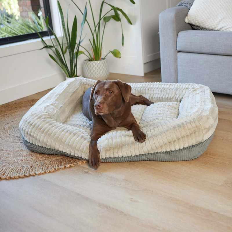 Kazoo Honey Possum Dog Bed