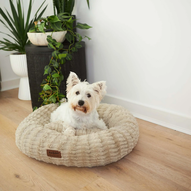 Kazoo Loop Dog Bed Clay