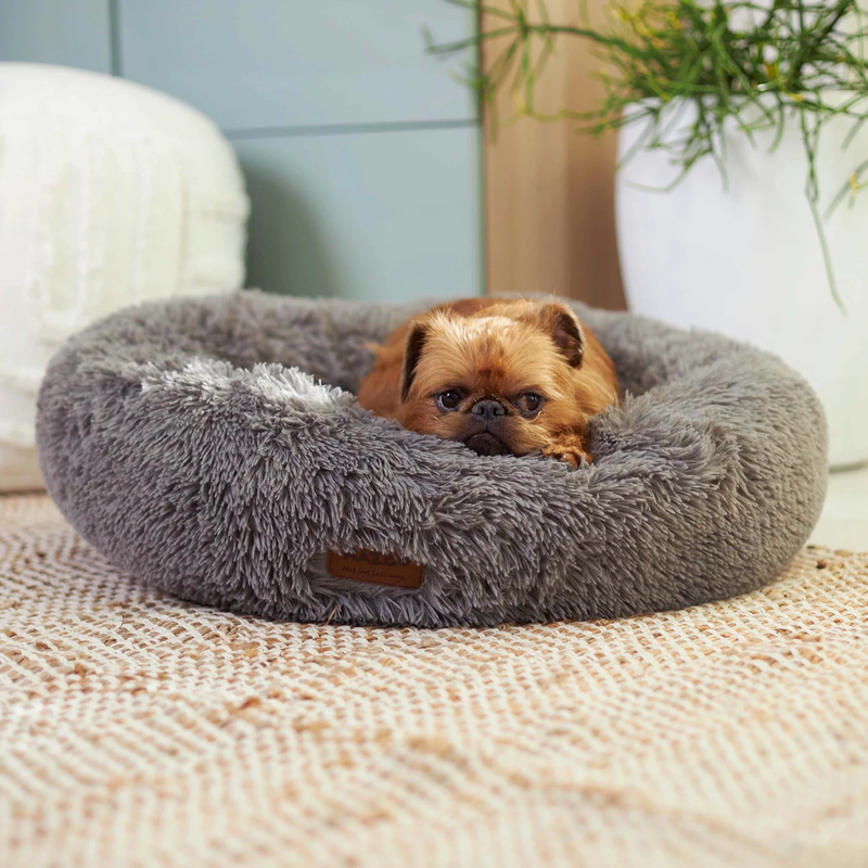 Kazoo Loop Pet Bed Blush