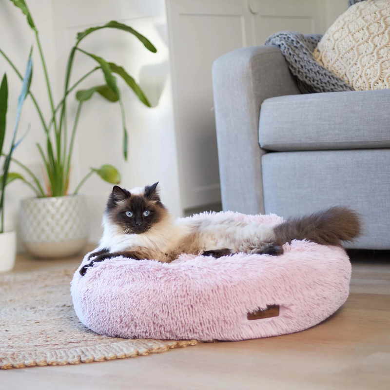 Kazoo Peacock Pet Bed Rose