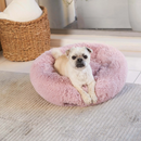 Kazoo Peacock Pet Bed Rose