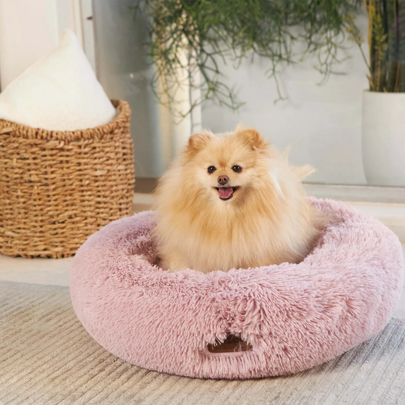 Kazoo Peacock Pet Bed Rose