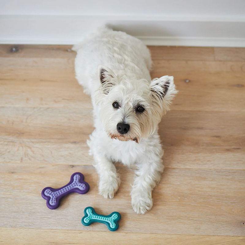 Kazoo Puppy Teether Dog Toy