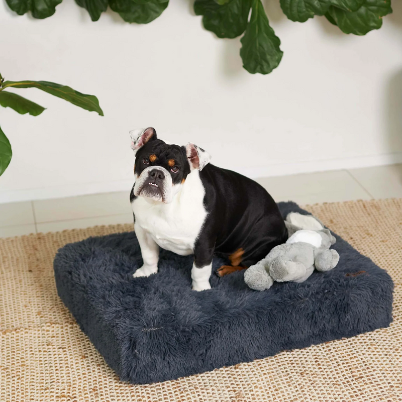 Kazoo Slumber Dog Bed Cloudy Grey