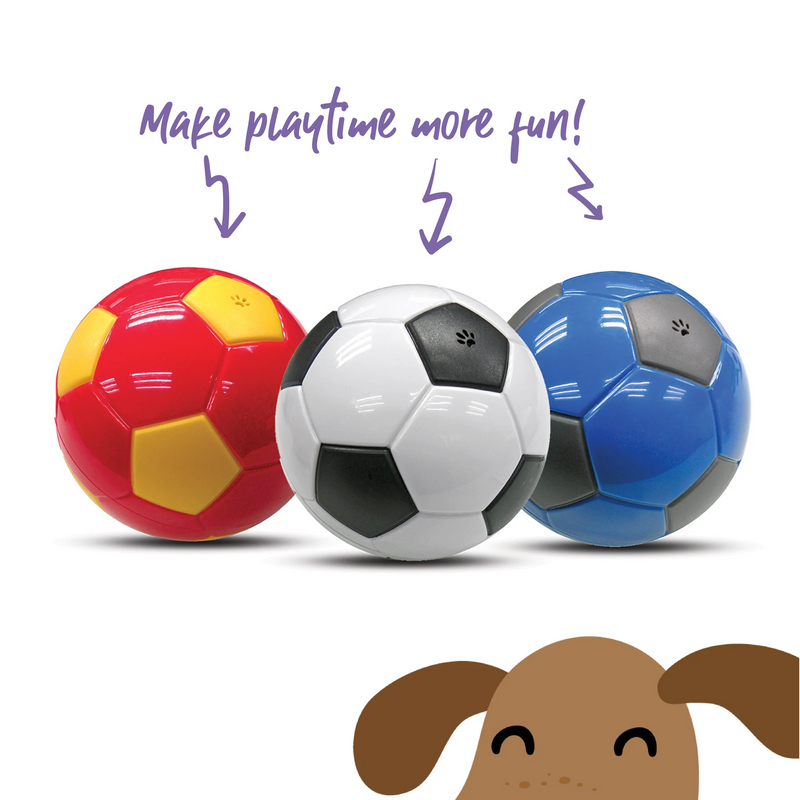 Kazoo Soccer Treat Ball