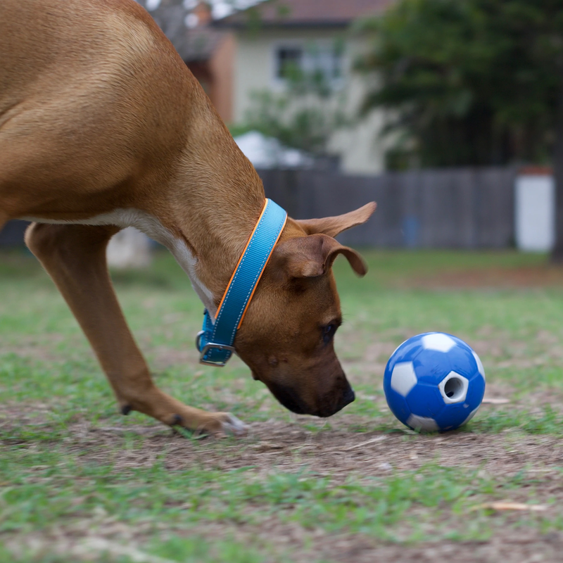 Kazoo Soccer Treat Ball