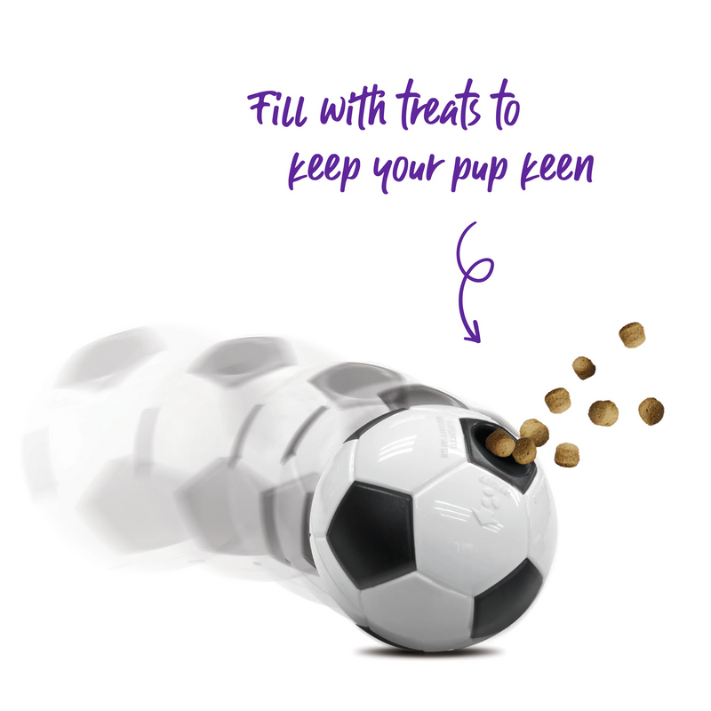 Kazoo Soccer Treat Ball