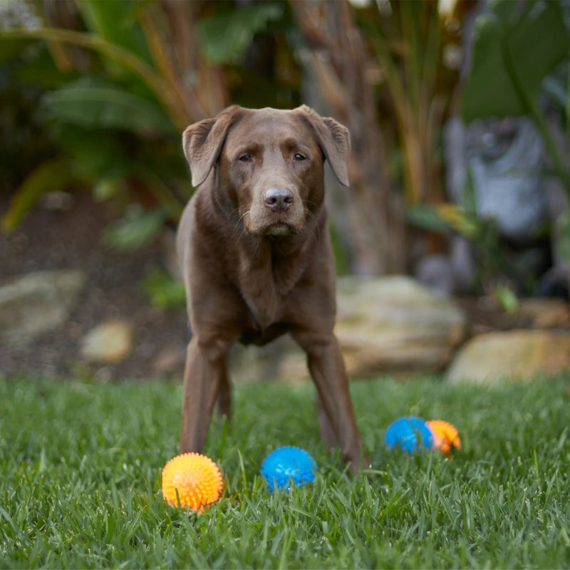 Kazoo Squeaky Space Ball Dog Toy