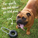 Kazoo Toothy Tug Tyre Dog Toy