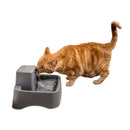 PetSafe Drinkwell Pet Fountain