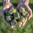 Multicube Teff & Lucerne Hay Cubes 20kg