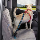 Kurgo Direct to Seat Belt Tether