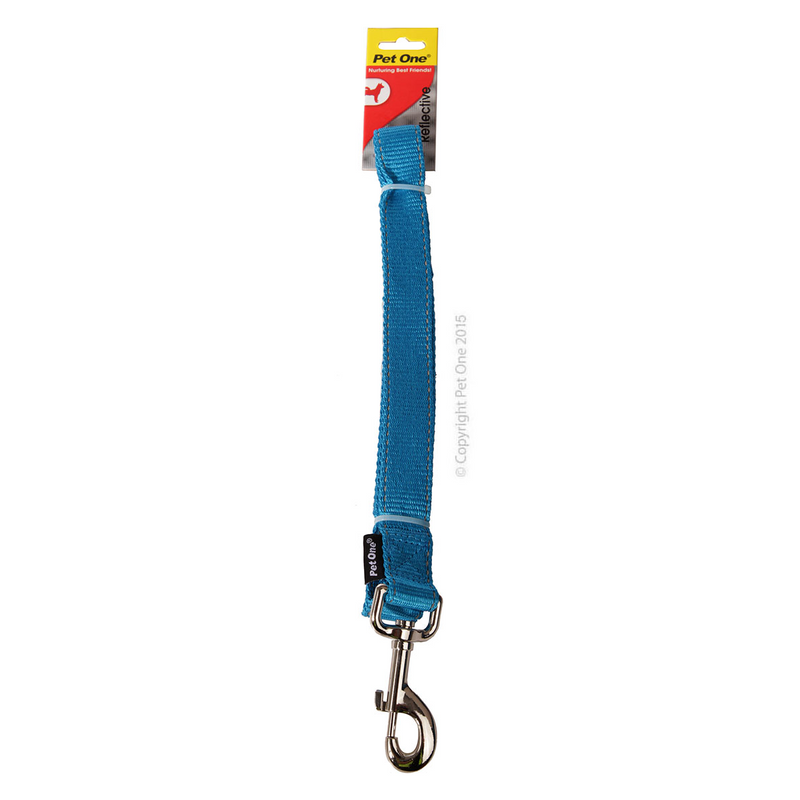 Pet One Reflective Nylon Dog Lead Aqua