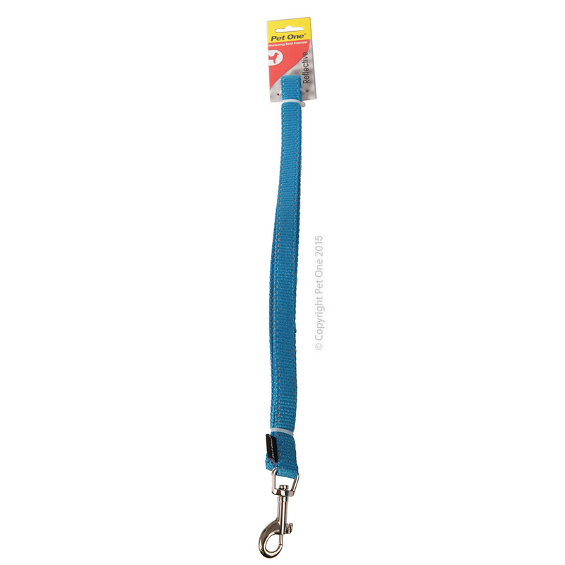 Pet One Reflective Nylon Dog Lead Aqua