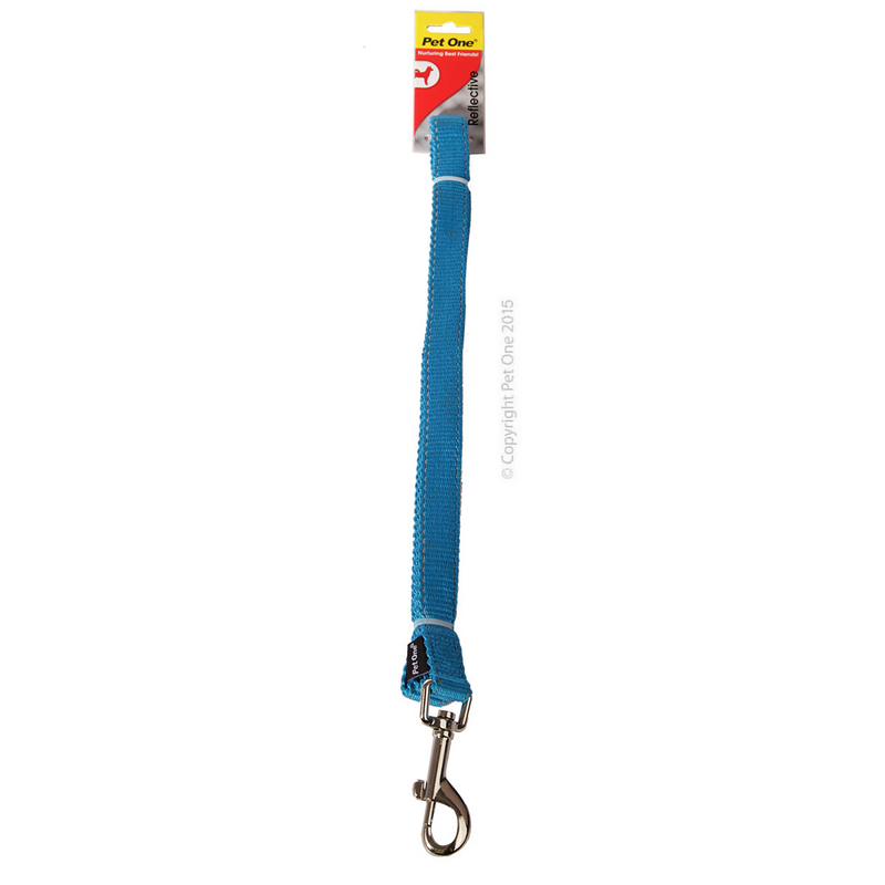 Pet One Reflective Nylon Dog Lead Aqua