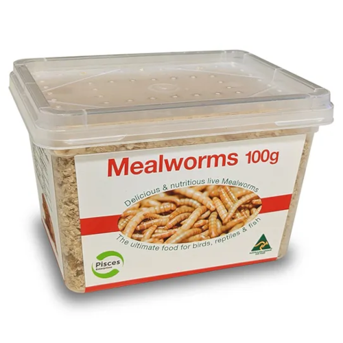 Pisces Regular Mealworms