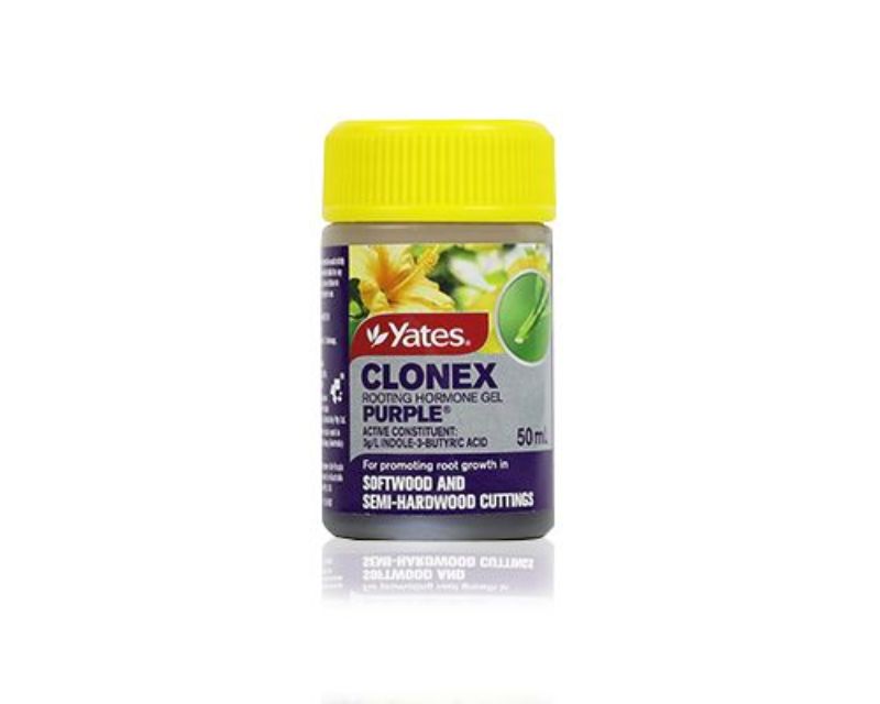 Yates Clonex Rooting Hormone Gel - Purple 50ml - Raymonds Warehouse