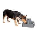 PetSafe Drinkwell Pet Fountain
