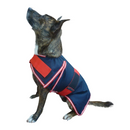 Trading Stables X-Calibur Dog Rug